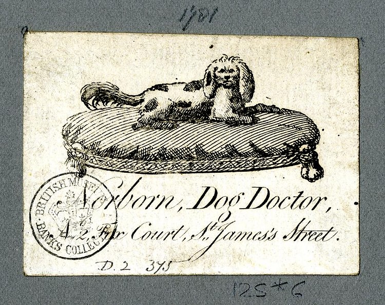 Trade Card of a Veterinary Surgeon