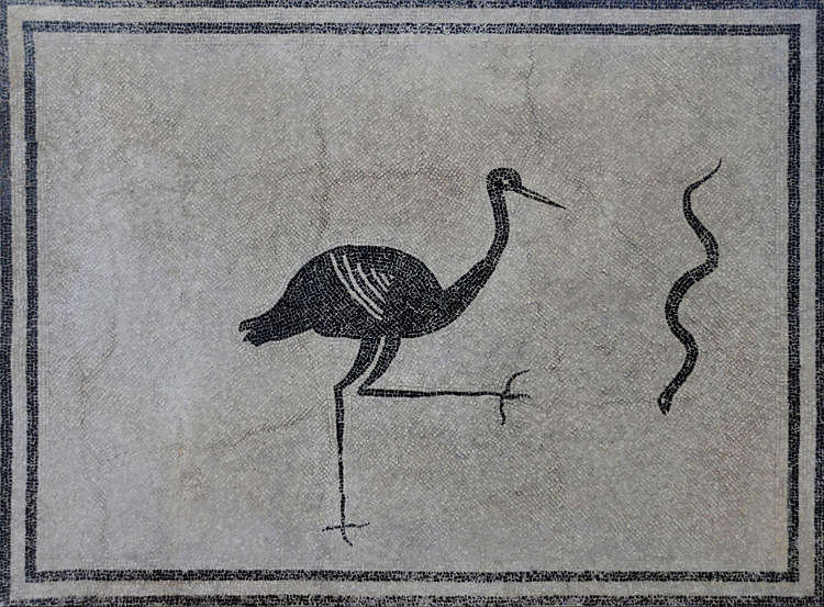 Black and White Mosaic with Stork and Snake