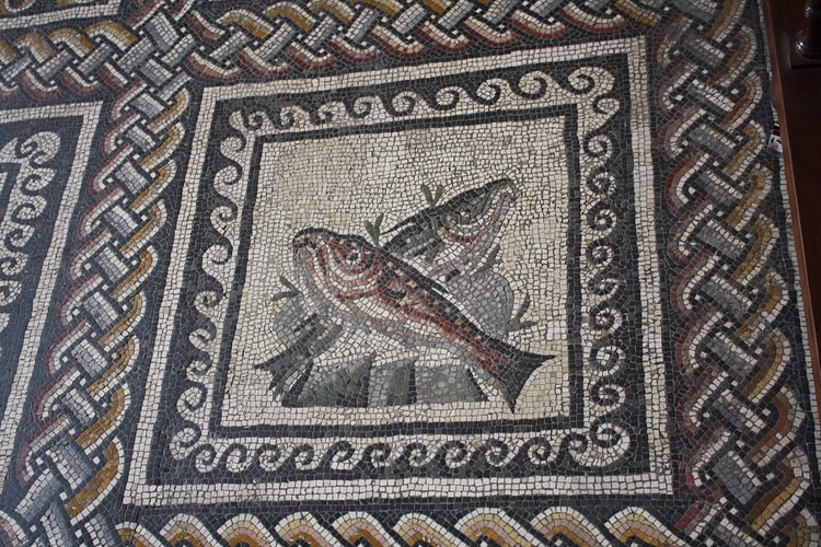 Fish, Roman Mosaic