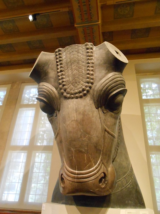 Colossal Bull Head, Persepolis