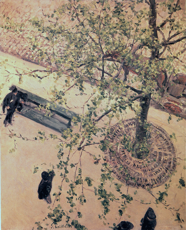 The Boulevard Seen from Above by Caillebotte