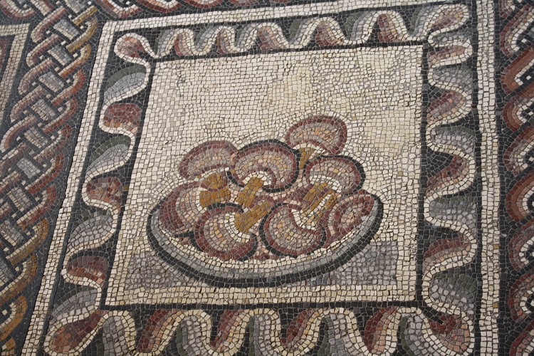 Mushrooms, Roman Mosaic