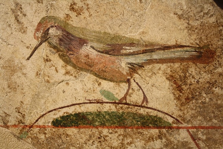 Roman Bird Fresco