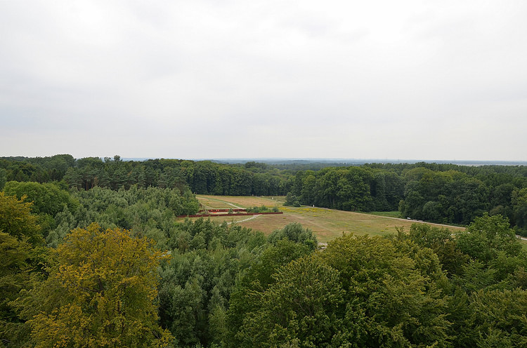 Teutoburg Forest