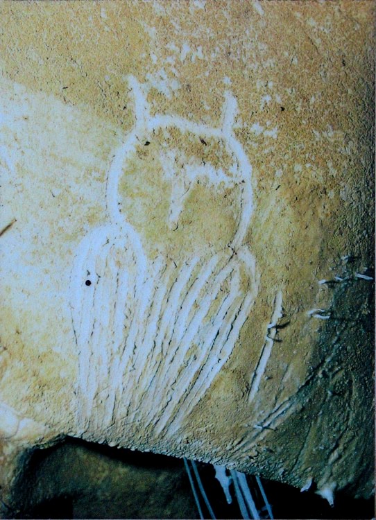 Owl Engraving, Chauvet Cave (Replica)