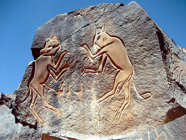 Saharan Rock Carving of Two Cats Fighting