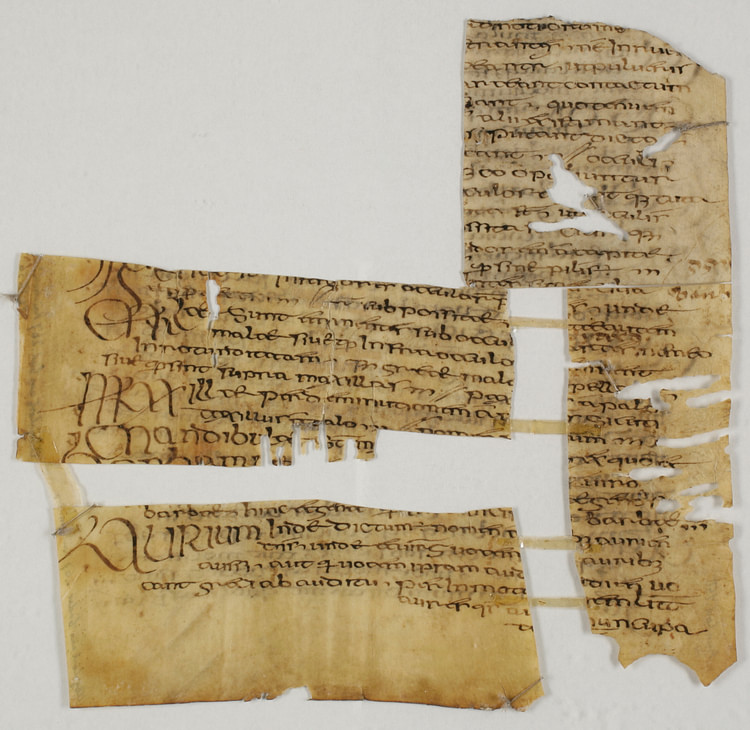 Irish Manuscript Fragment