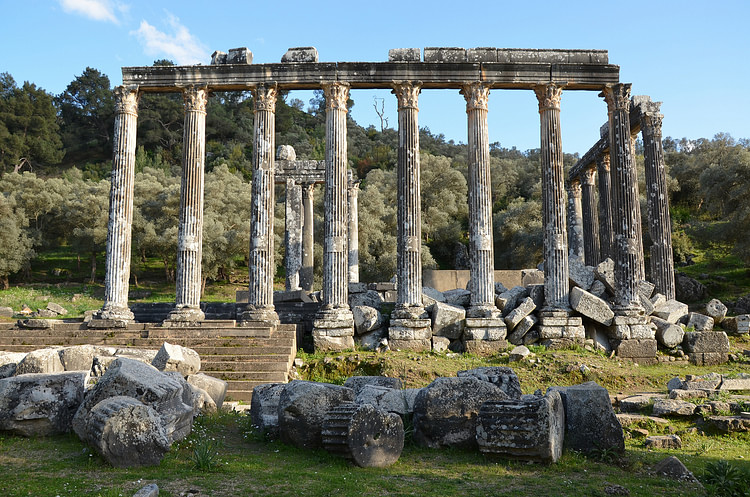 Temple of Zeus Lepsynos at Euromos